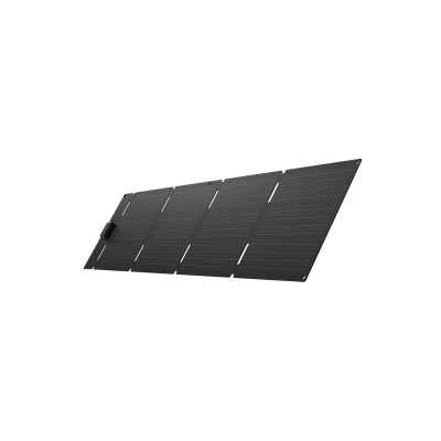 EcoFlow 60W Portable Solar Panel