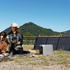 220W Portable Solar Panel