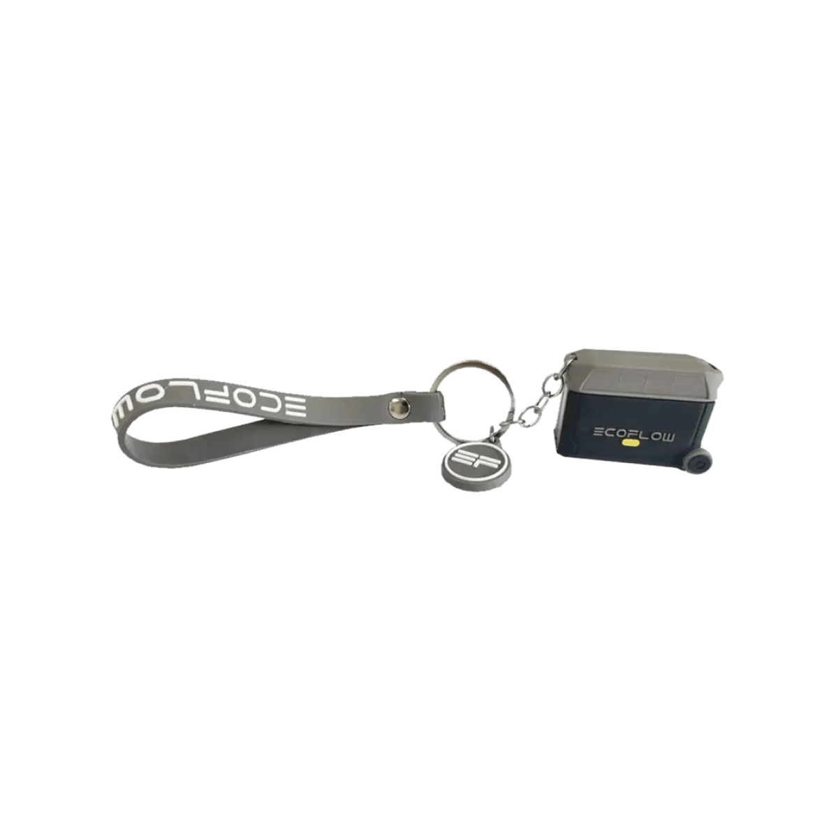 EcoFlow Keychain - DELTA Pro